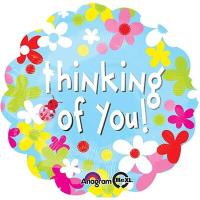 2a19d6deb872e2cca7736a6994490361
